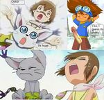  digimon gatomon kari_kamiya mermental taichi_yagami 