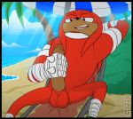  anthro humanoid_penis knuckles_the_echidna male mammal masturbation penile_masturbation penis solo sonic_(series) tagme ukent 