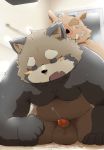  2018 anal anthro balls belly big_balls blush brown_fur canid canine cum cute_fangs duo ejaculation erection eyes_closed fur humanoid_hands kisukemk7 male male/male mammal moobs penis raccoon_dog sex slightly_chubby suid suina sus_(pig) tanuki wild_boar 