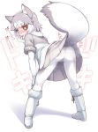  1girl animal_ears ass blue_eyes blush boots cameltoe dog_(mixed_breed)_(kemono_friends) dog_ears dog_tail elbow_gloves female from_behind gloves heterochromia kemono_friends leaning_forward looking_back multicolored_hair pantyhose pussy_juice silver_hair skirt solo tail tail_raised twitter_username wet wet_clothes wet_pantyhose white_hair white_legwear yamai 