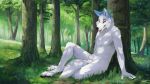  animal_genitalia anthro balls canid canine forest fully_sheathed looking_at_viewer male mammal nude outside sheath sitting snowfoxatheart solo tongue tongue_out tree 