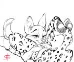  2018 anthro bedroom_eyes blush breasts canid canine cunnilingus domestic_cat duo eyelashes felid feline felis female female/female fennec fox gasp half-closed_eyes mammal monochrome nude open_mouth oral pussy seductive sex simple_background smile smirk surprise tongue tongue_out tsu-shan vaginal 