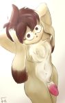  2019 anthro brown_fur brown_hair chest_tuft crotch_tuft digital_media_(artwork) fur girly hair humanoid_penis lagomorph leporid long_ears looking_at_viewer male mammal nude open_mouth penis rabbit short_hair simple_background solo standing surprise tuft 