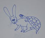  hare tagme the_tortoise_and_the_hare tortoise 