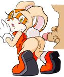  anthro anus cream_the_rabbit duo female hi_res pussy sega sonic_(series) sonic_team 