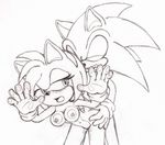  amy_rose sonic_team sonic_the_hedgehog sonikdude750 tagme 