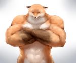  2019 ambiguous_gender anthro big_muscles canid canine crossed_arms crossed_arms_fox eyes_closed fox fur hi_res mammal meme muscular nude orange_fur simple_background solo sukemyon white_background 