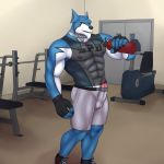  1:1 abs anthro balls blue_fur blush bulge canid canine canis clothed clothing collar doggie_kruger erection fur gym humanoid_penis male mammal multicolored_fur muscular muscular_male nipples pecs penis penis_outline power_rangers power_rangers_spd shirt smile solo standing tank_top tokusou_sentai_dekaranger topwear unknown_artist 