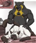  2019 anal anal_penetration anthro anthro_on_anthro bed bedroom biceps big_dom_small_sub black_fur black_nose black_penis blue_eyes brown_fur butt claws cum cum_in_ass cum_inside cum_on_back cumshot digital_media_(artwork) domestic_cat duo duster_(dustafyer7) ejaculation elbestia erection felid feline felis from_behind_position fur grey_eyes hair hand_on_butt hi_res humanoid_penis internal interspecies larger_male looking_pleasured lying male male/male male_penetrating mammal muscular muscular_male nipples nude open_mouth orgasm pecs penetration penis raised_tail sex siamese simple_background size_difference smile spectacled_bear tail_grab teeth tongue tremarctine tuft ursid vein whiskers white_fur white_hair yellow_fur 