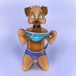  1:1 anthro briefs bulge canid canine canis clothed clothing collar cub domestic_dog floppy_ears hi_res krayzer male mammal onykr partial_nudity solo topless underwear young 