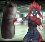  abs absurd_res alisa-walker anthro boxing hi_res nintendo pok&eacute;mon pok&eacute;mon_(species) sport thebes_(velociripper) training video_games weavile 