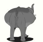  2018 belly big_belly digital_drawing_(artwork) digital_media_(artwork) elephant elephantid female hi_res lionsilverwolf mammal pregnant proboscidean solo trunk tusks 