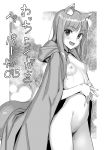  animal_ears holo kawakami_rokkaku monochrome naked nipples spice_and_wolf tail 