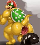  anus backsack balls bowser dildo gaping gaping_anus humanoid_penis koopa looking_back male mario_bros mocri nintendo penis scalie sex_toy solo video_games 