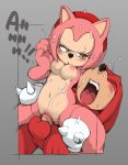  amy_rose anthro balls black_nose blush breasts clothing cum digital_media_(artwork) duo echidna ejaculation erection erosuke eyes_closed female fur gloves green_eyes knuckles_the_echidna male male/female mammal monotreme navel nipples nude open_mouth penetration penis pussy sex simple_background sitting sonic_(series) spikes sweat teeth text tongue tongue_out vaginal vaginal_penetration vein 