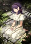  1girl bare_arms barefoot black_ribbon breasts buttons collared_dress commentary_request dress fate/stay_night fate_(series) full_body grass hair_ribbon heaven&#039;s_feel indoors long_hair looking_at_viewer matou_sakura medium_breasts nagu parted_lips plant puffy_short_sleeves puffy_sleeves purple_eyes purple_hair red_ribbon ribbon short_sleeves sitting solo wariza white_dress 