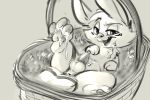  2019 balls basket carrot_(artist) cum cum_on_face cum_on_paw digital_media_(artwork) erection feral greyscale half-closed_eyes hi_res lagomorph leporid looking_at_viewer male mammal monochrome open_mouth pawpads paws penis rabbit solo 