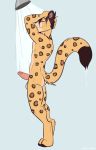  amur_leopard anthro balls casparr cole_(cole_rs) erection eyes_closed felid feline fur hair hi_res humanoid_penis leopard male mammal nude pantherine penis scar shower simple_background smile solo spots spotted_fur wet 