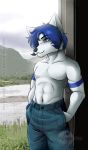  2019 abluedeer anthro blue_eyes blue_hair canid canine clothed clothing day detailed_background digital_media_(artwork) hair hi_res male mammal outside smile solo standing topless 