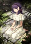  1girl bare_arms barefoot black_ribbon breasts buttons collared_dress commentary_request dress fate/stay_night fate_(series) full_body grass hair_ribbon heaven&#039;s_feel indoors long_hair looking_at_viewer matou_sakura medium_breasts nagu parted_lips plant puffy_short_sleeves puffy_sleeves purple_eyes purple_hair red_ribbon revision ribbon short_sleeves sitting solo wariza white_dress 