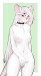  anthro blush breasts female hi_res looking_at_viewer mammal melamoryblack mouse murid murine nipples nude pussy rodent solo standing wide_hips 