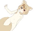  1girl ahoge animal_ear_fluff animal_ears blush brown_hair chaakusu ear_piercing fennery_(show_by_rock!!) flat_chest fox_ears fox_tail frown furrowed_eyebrows jewelry light_brown_hair monochrome_background multicolored_hair nipples nose_blush nude orange_eyes piercing short_hair show_by_rock!! simple_background single_earring streaked_hair tail tail_censor two-tone_hair white_background 