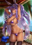  1girl alternate_costume animal_ears armpits arms_up bangs beach bikini black_legwear breasts cameltoe closed_mouth collarbone cowboy_shot dark_skin day egyptian eyebrows_visible_through_hair facepaint facial_mark fate/grand_order fate_(series) groin hairband highres jackal_ears large_breasts long_hair looking_at_viewer micro_bikini navel nitocris_(fate/grand_order) outdoors purple_bikini purple_eyes purple_hair sidelocks skindentation solo swimsuit takecha thighhighs very_long_hair 