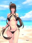  1girl absurdres antenna_hair arm_behind_back bare_shoulders beach bikini black_bikini black_ribbon blue_sky braid breasts brown_hair cleavage closed_mouth collarbone commentary_request criss-cross_halter cross-laced_clothes day dsr-50_(girls_frontline) girls_frontline halterneck highres horizon korean_commentary large_breasts long_hair looking_at_viewer multi-strapped_bikini navel ocean red_eyes ribbon seashell shell side-tie_bikini sidelocks sky smile solo stomach swimsuit un_lim untied untied_bikini very_long_hair water 