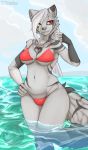  anthro breasts canid canine canis clothing dibeyku female heterochromia hi_res mammal nabey solo support swimwear wide_hips wolf 