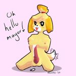  1:1 2019 animal_crossing animal_genitalia anthro balls big_penis biped blush breasts canid canine canis crossgender cum dickgirl digital_drawing_(artwork) digital_media_(artwork) domestic_dog eiirev ejaculation english_text erection fur intersex isabelle_(animal_crossing) looking_at_viewer mammal nintendo nipples nude orgasm penis presenting shih_tzu simple_background smile solo spreading text tongue tongue_out toy_dog video_games yellow_fur 