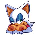  anthro breasts breasts_squeeze female furry large_breasts rouge_the_bat sonic_(series) termiteterror 