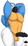  2019 anthro avian balls beak bird blush breath_of_the_wild digital_media_(artwork) eyelashes feathers hi_res humanoid_penis kass_(zelda) looking_at_viewer male muscular nintendo nude open_mouth penis rito simple_background solo the_legend_of_zelda thick_thighs video_games voluptuous wide_hips wings zieis 