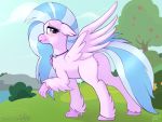  2019 4:3 avian blush digital_media_(artwork) eyelashes feathered_wings feathers female feral friendship_is_magic hair hi_res hippogryph jewelry looking_at_viewer multicolored_hair multicolored_tail my_little_pony necklace outside purple_eyes ratofdrawn signature silverstream_(mlp) smile solo tree two_tone_hair wings 