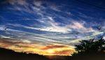  animal bird clouds gensuke original scenic sky sunset 