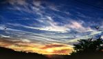  bird cloud commentary condensation_trail film_grain gensuke_(ryun) grass heisei highres no_humans original power_lines reiwa scenery sky sunset tree valley 