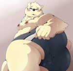  2019 anthro balls belly blue_eyes blush boxers_(clothing) butt clothing eyewear glasses hi_res humanoid_hands humanoid_penis male mammal moobs nipples overweight overweight_male penis polar_bear pomupomu490 simple_background solo sweat underwear ursid ursine 