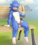  2019 anthro balls bench day english_text erection eulipotyphlan food green_eyes hedgehog hi_res holding_food holding_object looking_at_viewer male mammal mot nude outside penis sitting solo sonic_(series) sonic_movie sonic_the_hedgehog text where_is_your_god_now 