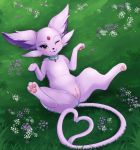  &lt;3 &lt;3_tail 2019 3_toes absurd_res blush choker donutella eeveelution espeon female feral flower fur grass hi_res looking_at_viewer lying mammal nintendo on_back one_eye_closed pawpads paws pink_fur plant pok&eacute;mon pok&eacute;mon_(species) pussy solo spread_legs spreading toes video_games 