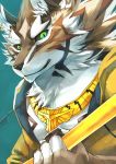  2018 anthro black_nose canid canine canis clothed clothing fur green_eyes hi_res male mammal piercing seth_(tas) sky_(artist) solo tokyo_afterschool_summoners video_games 