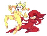  absurd_res breasts cum duo echidna eulipotyphlan fan_character feet female fight hedgehog hi_res mammal monotreme nipples nude pussy saltwatertoffee sonic_(series) sunshine_the_hedgehog 