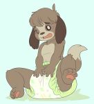  animal_crossing anthro blush canid canine canis cuddlehooves diaper digby_(animal_crossing) domestic_dog embarrassed hi_res looking_at_viewer male mammal nintendo pawpads paws sitting solo teeth video_games 