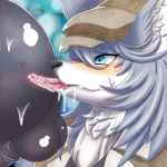  1:1 ambiguous_focus ambiguous_gender anal anthro anus balls black_nose blue_eyes blush butt canid canine canis chest_tuft clothed clothing fate_(series) fur grey_fur hat headgear headwear hi_res male male/ambiguous mammal oral patxi penis rimming sex solo_focus text tongue tuft wolf wycicus 