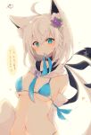  1girl ahoge animal_ear_fluff animal_ears bangs bikini blue_bikini blue_eyes braid breasts commentary_request eyebrows_visible_through_hair flower fox_ears grey_hair hair_between_eyes hair_flower hair_ornament highres hololive long_hair looking_at_viewer medium_breasts mouth_hold muuran navel shirakami_fubuki swimsuit translation_request virtual_youtuber 