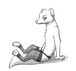  2018 anthro arm_support blush cheek_tuft chest_tuft clothing elbow_tufts erection fuel_(artist) greyscale head_tuft herpestid horizontal_pupils legwear looking_at_viewer male mammal mongoose monochrome mostly_nude panties penis poking_out side_view simple_background sitting solo stockings terry_(a-signature) tuft underwear white_background 