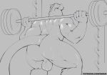  2019 5_fingers anthro back_muscles backsack balls barbell biceps biped butt digital_media_(artwork) exercise grey_background greyscale hair hi_res long_tail male mammal monochrome murid murine muscular muscular_male nude perineum rat rear_view rodent shiuk short_hair simple_background solo sweat url weightlifting workout 