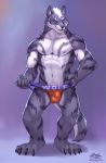  anthro bulge canid canine canis clothing hair male mammal muscular muscular_male simple_background smile solo standing underwear wolf zephyxus 