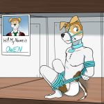  1:1 anthro arms_tied bound briefs canid canine canis clothed clothing collar domestic_dog frogtied fuze hi_res legs_tied male mammal muzzle_(object) muzzled nipples rope rope_bondage solo tighty_whities topless underwear 