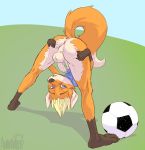  animancer anthro anus backsack balls barefoot bent_over bottomless butt canid canine clothed clothing flexible fox looking_through_legs male mammal shirt soccer solo sport spreading topwear tycloud 