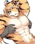  abs anthro biceps black_nose chung0_0 clothed clothing digital_media_(artwork) felid fur hi_res male mammal muscular muscular_male nipples pantherine pecs purple_eyes simple_background solo tiger white_background 