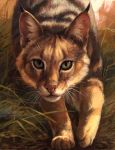  2019 ambiguous_gender day detailed_background digital_media_(artwork) felid feline feral fur grass hi_res kenket lynx mammal outside solo standing tan_fur whiskers 